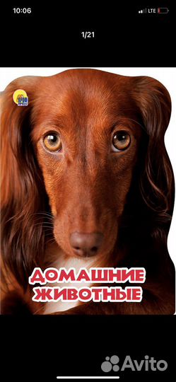 Детские картонные книги