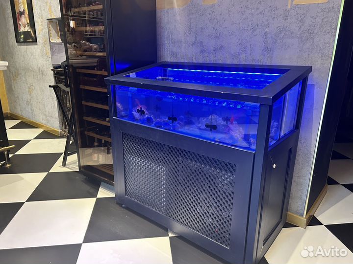 Аквариум для устриц