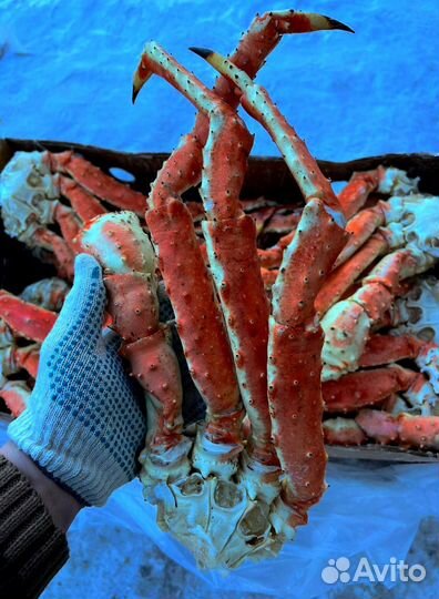 Оптом Краб Камчатский