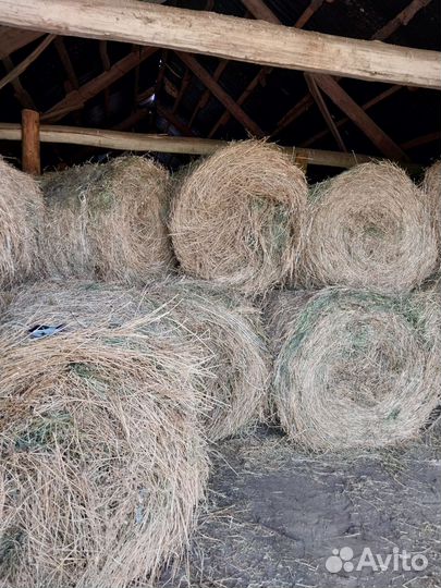 Сено люцерны в рулонах