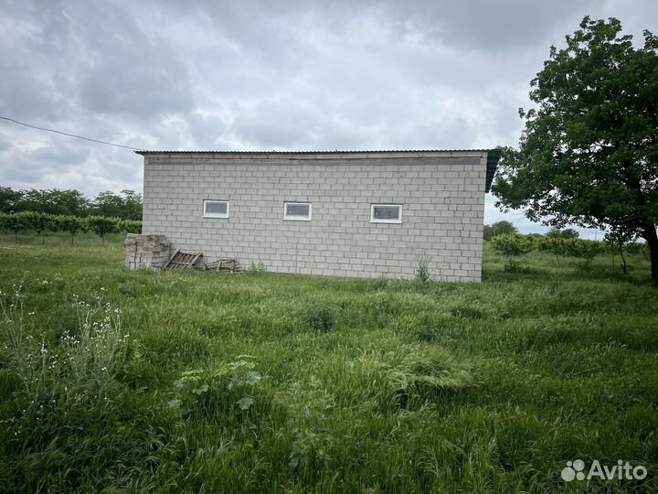 Черешневый сад