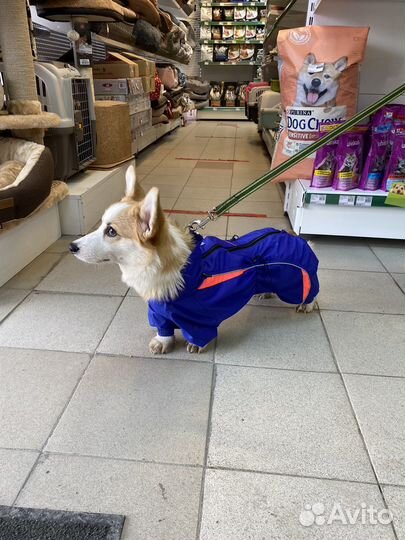 Комбинезон Barsu для средней собаки