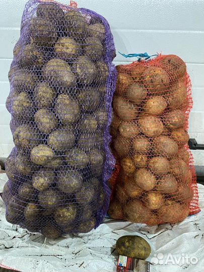 Вкусный и крупный картофель с доставкой