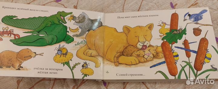 Мэтью Ван Флит Зоопарк