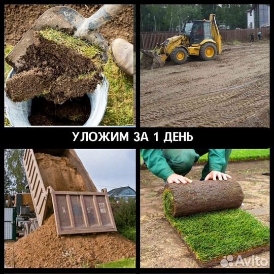 Рулонный газон Ландшафт в Щелково