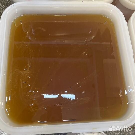 Липовый мёд. Качка 2023 г. Оптом