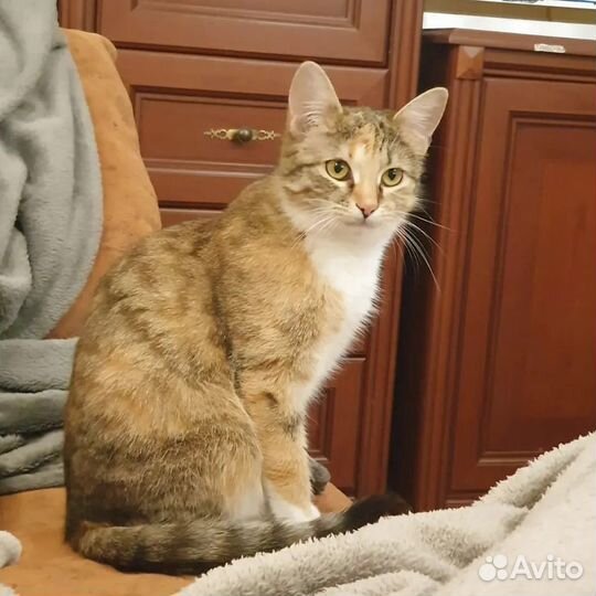 Милашка и нежнятина Мэри