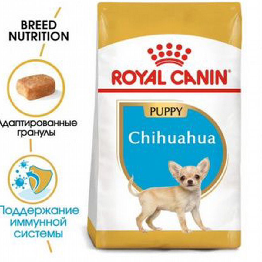 Chihuahua puppy PRO 6 кг