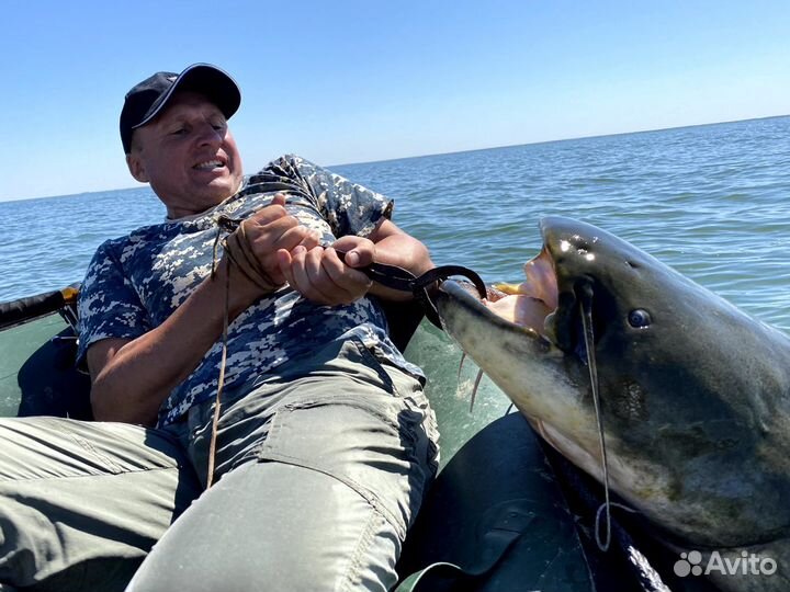 Трофейная рыбалка на сомов и судаков