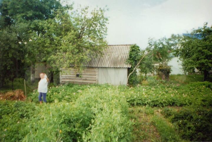 Дом 120 м² на участке 3 га