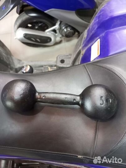 Гантеля 5 кг 1 шт