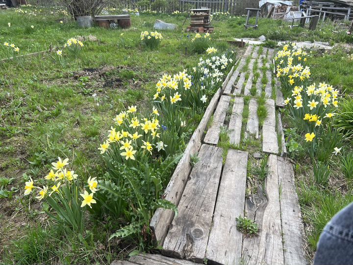 Дом 30 м² на участке 8 сот.