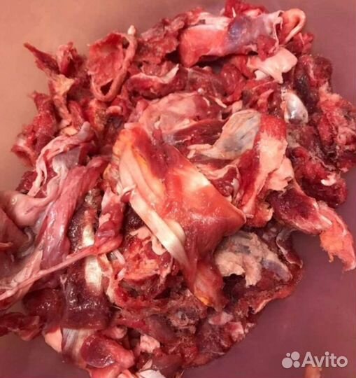 Мясо для собак в Иваново