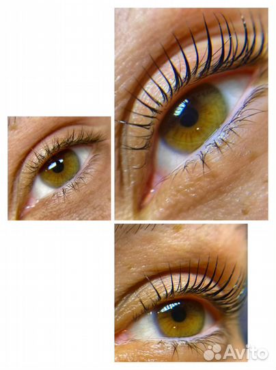 Бровист / Оформление бровей / Ламинирование ресниц