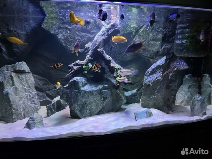 Аквариум Atman - FR 1000M 220л