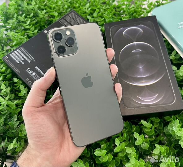 iPhone 12 Pro Max, 256 ГБ