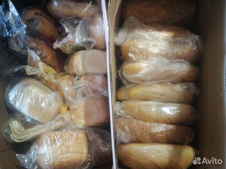 Молочка на корм животным