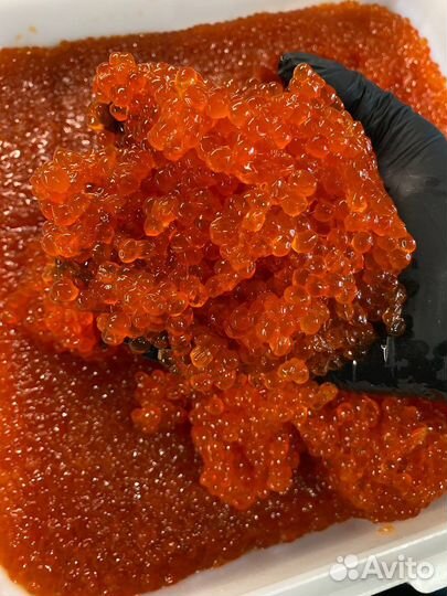 Красная икра 2023