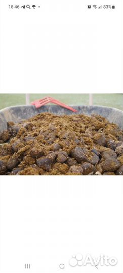 Навоз конский,перегной