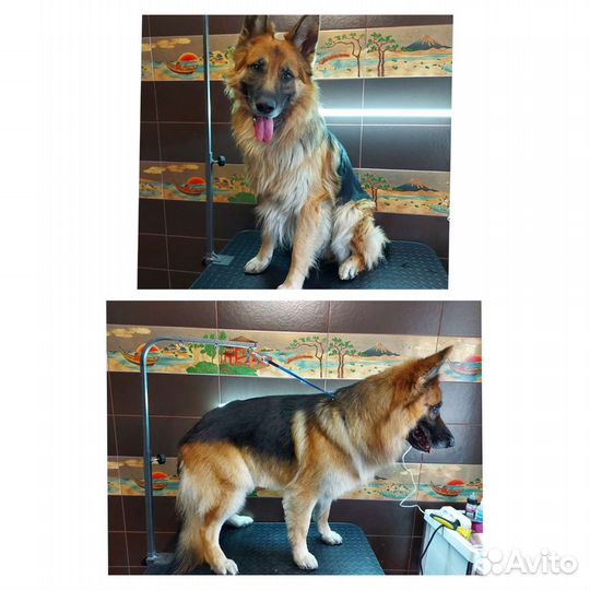 Услуги грумера на Троллейной