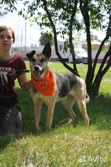 Станет самым верным другом