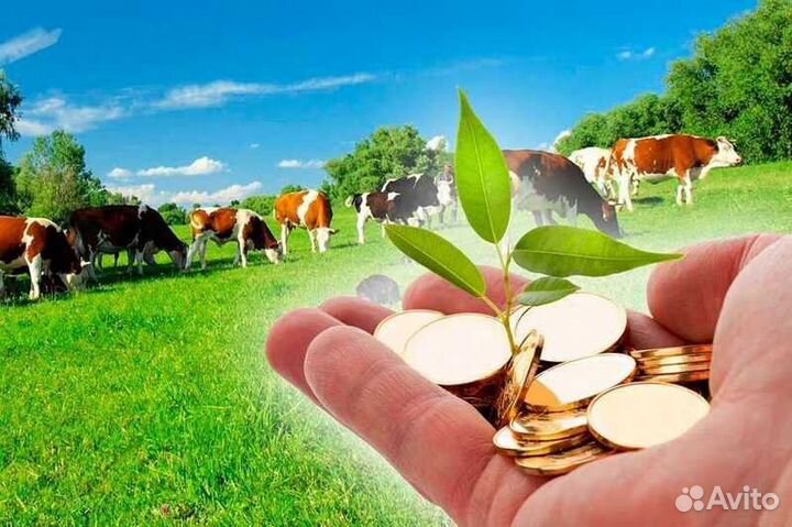 Водитель экспедитор категория в