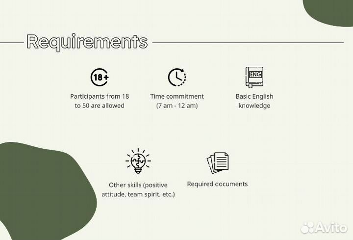 Web дизайнер