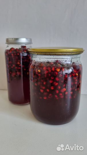 Лимонник