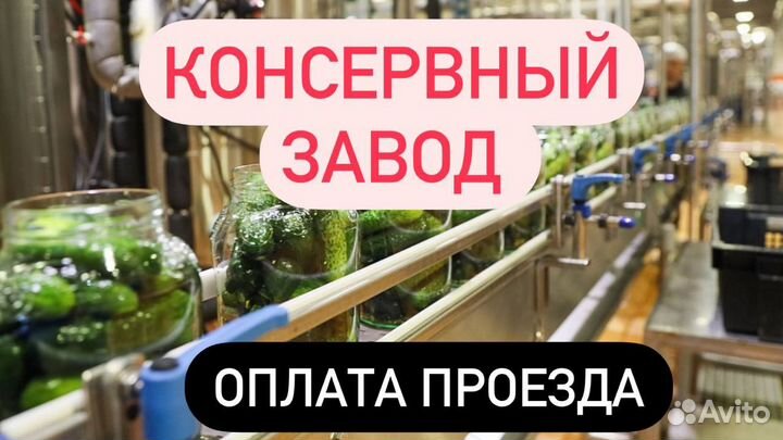 Упаковщик на консервный завод вахтой.Купим билет