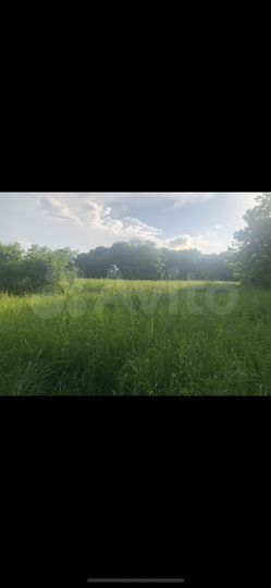 Участок 1,3 га (СНТ, ДНП)