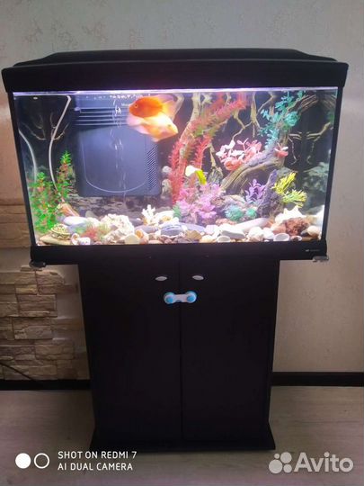 Аквариум 120 литров