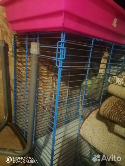 Клетка для шиншиллы бу