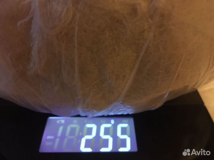 Собачья шерсть самоеда