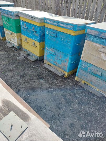 Ульи для пчел бу