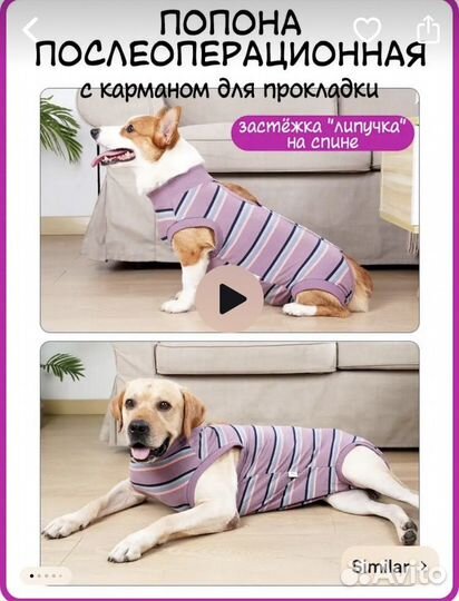 Попона для собак послеоперационная