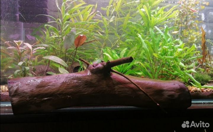 Коряга в аквариум
