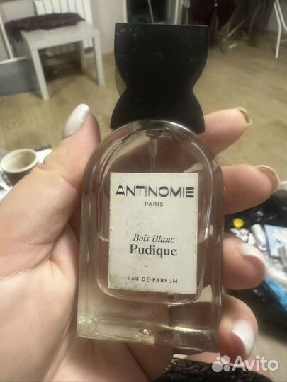 Antinomie bois blanc pudique
