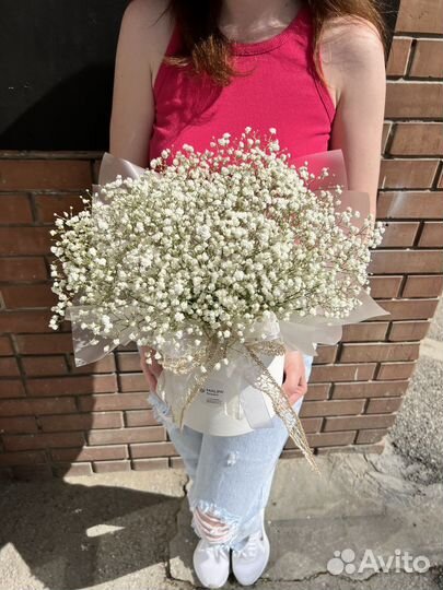 Букет из гипсофилы доставка
