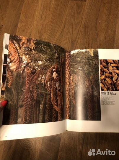 Ирак 1977 год