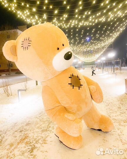 Живая открытка поздравление от мишки Тедди