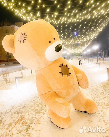 Живая открытка поздравление от мишки Тедди