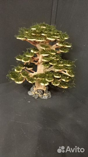 Подводный лес в аквариуме