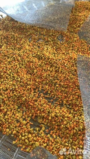 Распродаю цветочную пыльцу (Подмор)