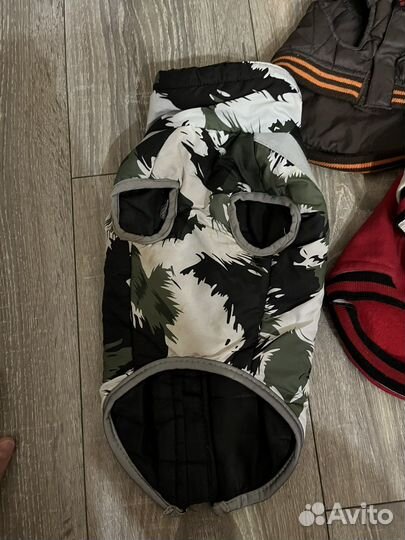 Курточки на маленькую собачку