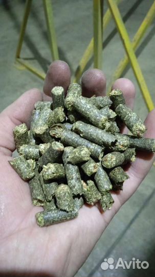 Люцерна и Эспарцет гранула,доставка