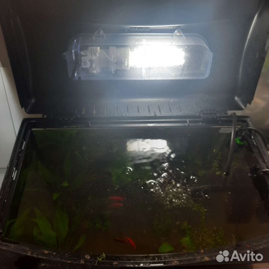 Аквариум с рыбками
