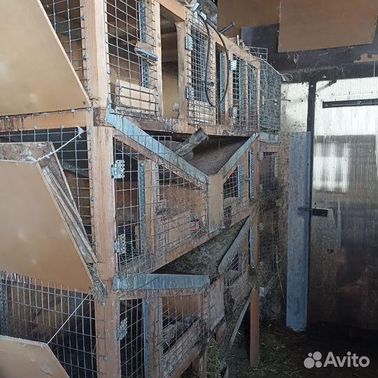 Клетка для кроликов