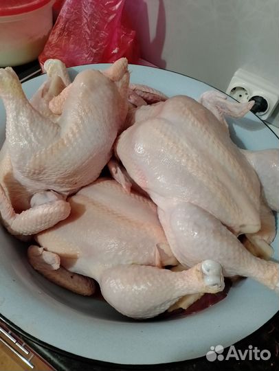Мясо домашнего бройлера