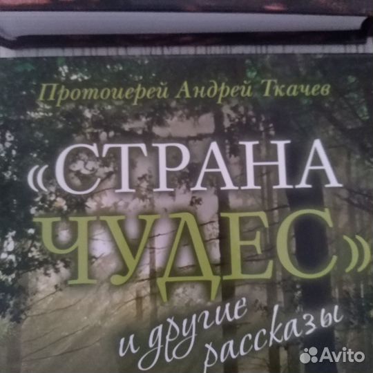 Книги Несвятые святые. Т. Шевкунов