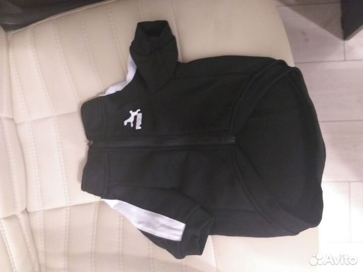 Толстовка для собак